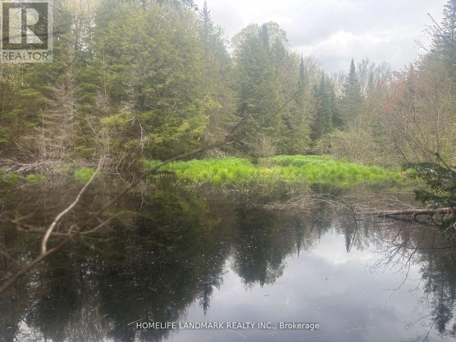1995 Bear Cave Road, Muskoka Lakes, Ontario  P0C 1J0 - Photo 17 - X12679080