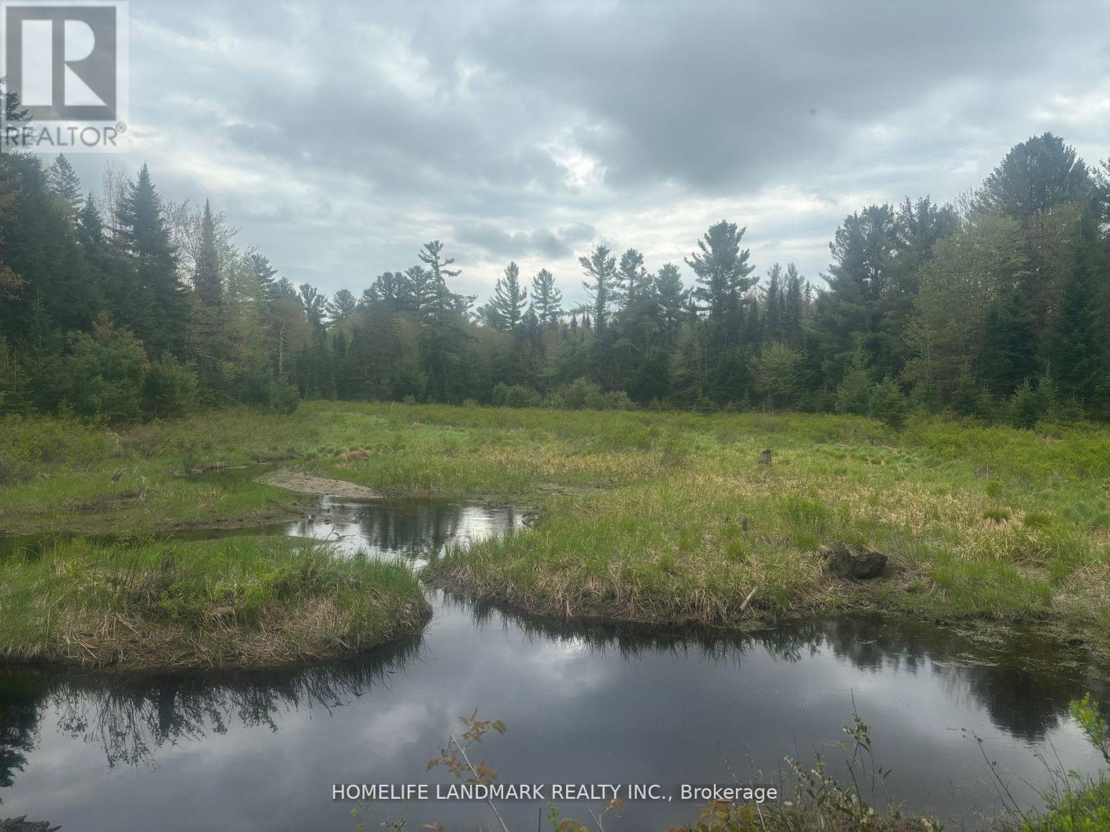 1995 Bear Cave Road, Muskoka Lakes, Ontario  P0C 1J0 - Photo 18 - X12679080