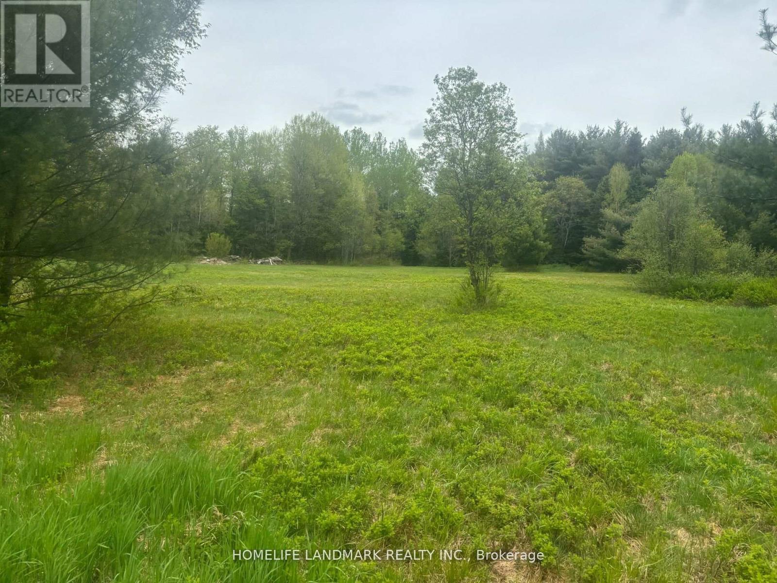 1995 Bear Cave Road, Muskoka Lakes, Ontario  P0C 1J0 - Photo 2 - X12679080