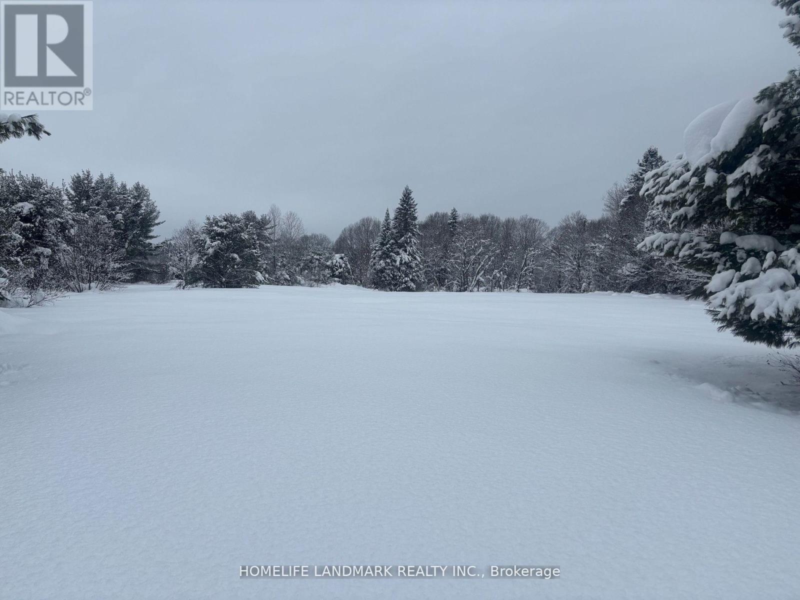 1995 Bear Cave Road, Muskoka Lakes, Ontario  P0C 1J0 - Photo 20 - X12679080