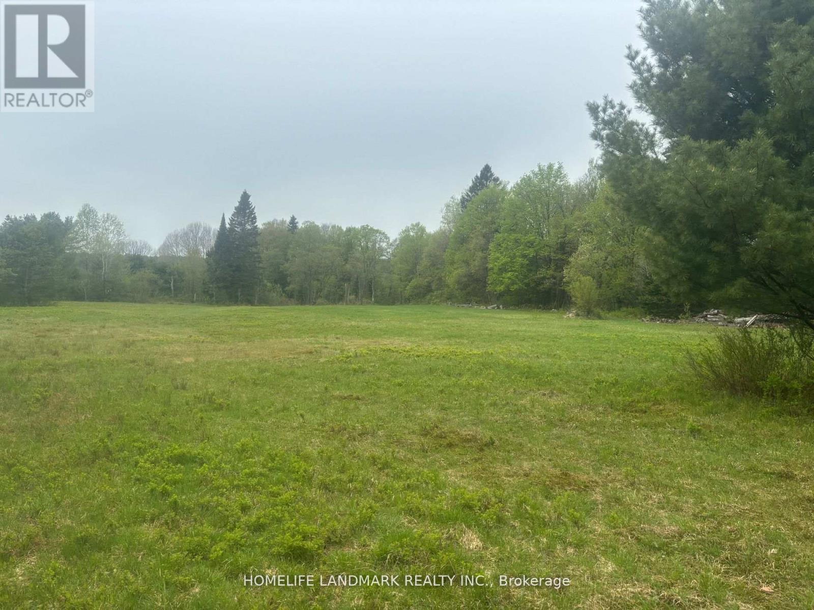 1995 Bear Cave Road, Muskoka Lakes, Ontario  P0C 1J0 - Photo 4 - X12679080