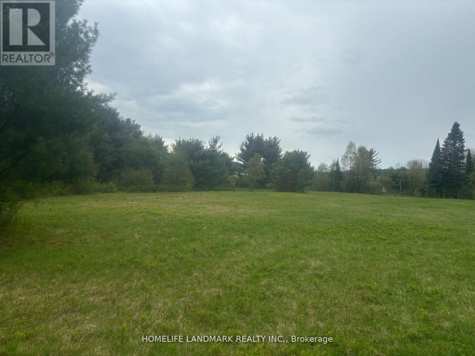 1995 Bear Cave Road, Muskoka Lakes, Ontario  P0C 1J0 - Photo 5 - X12679080