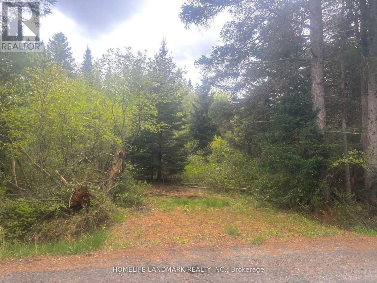 1995 Bear Cave Road, Muskoka Lakes, Ontario  P0C 1J0 - Photo 7 - X12679080