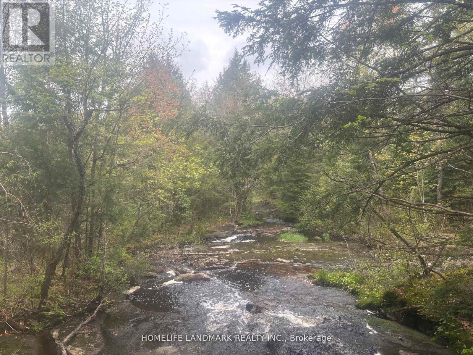 1995 Bear Cave Road, Muskoka Lakes, Ontario  P0C 1J0 - Photo 9 - X12679080