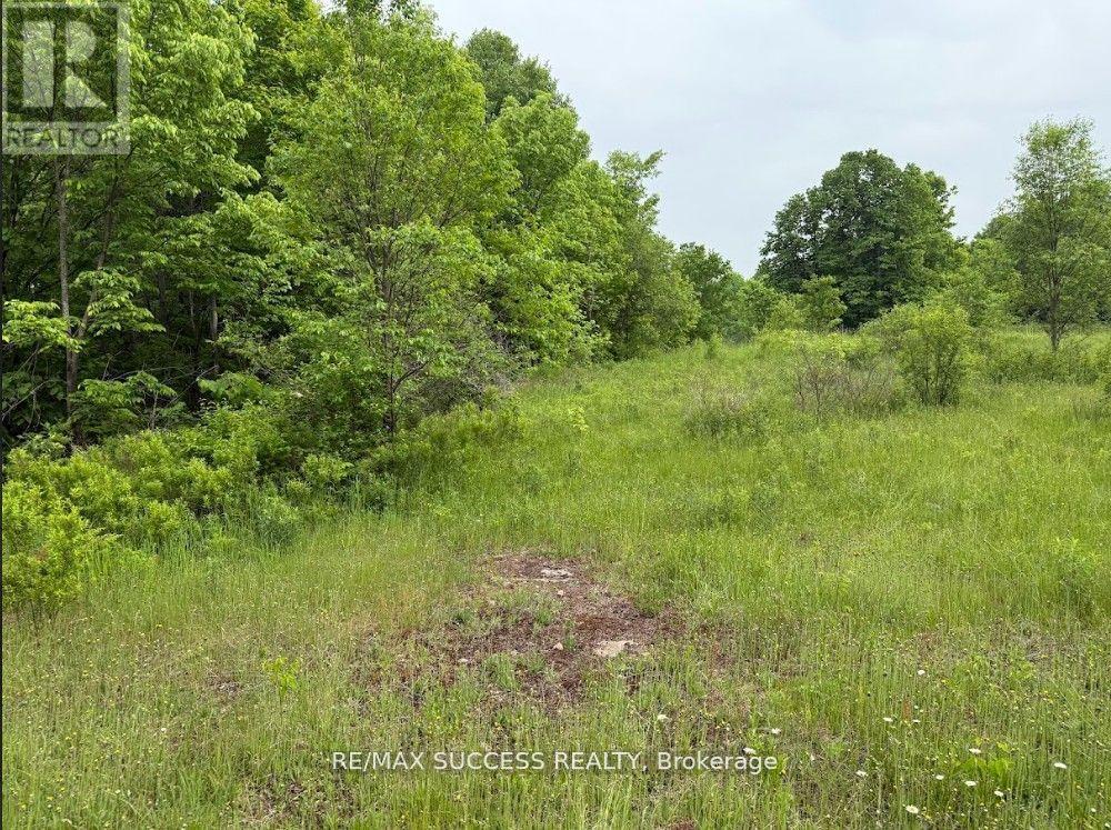 2248 Babcock Road, Frontenac, Ontario  K0H 2K0 - Photo 8 - X12679152