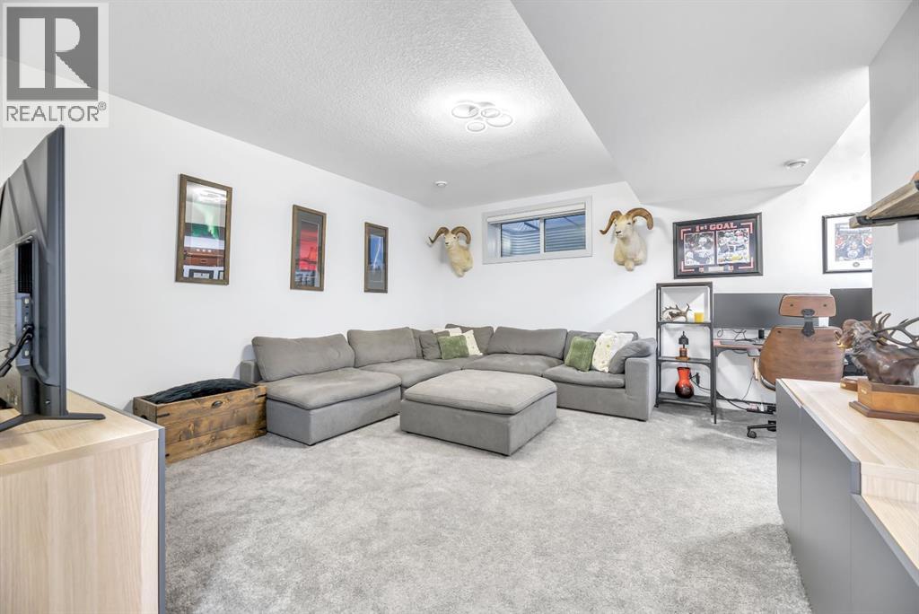 159 Wolf Hollow Park Se, Calgary, Alberta  T2X 4M8 - Photo 30 - A2278087