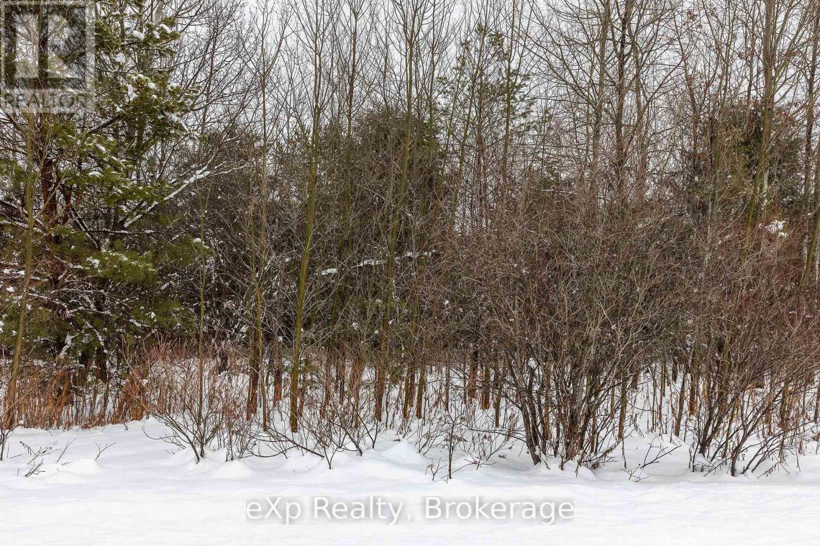 5716 County Road 9, Clearview, Ontario  L0M 1N0 - Photo 19 - S12679300