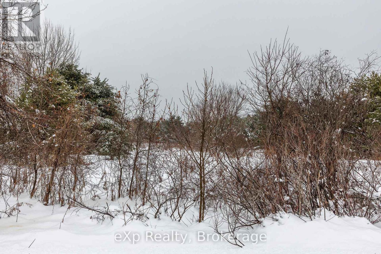 5716 County Road 9, Clearview, Ontario  L0M 1N0 - Photo 20 - S12679302