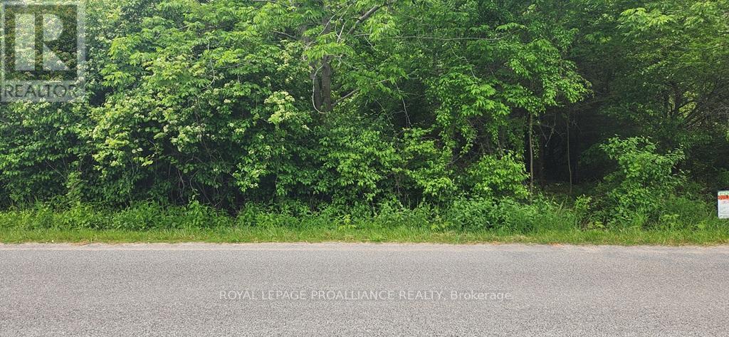 00 Scriver Road, Brighton, Ontario  K0K 1H0 - Photo 5 - X12679308