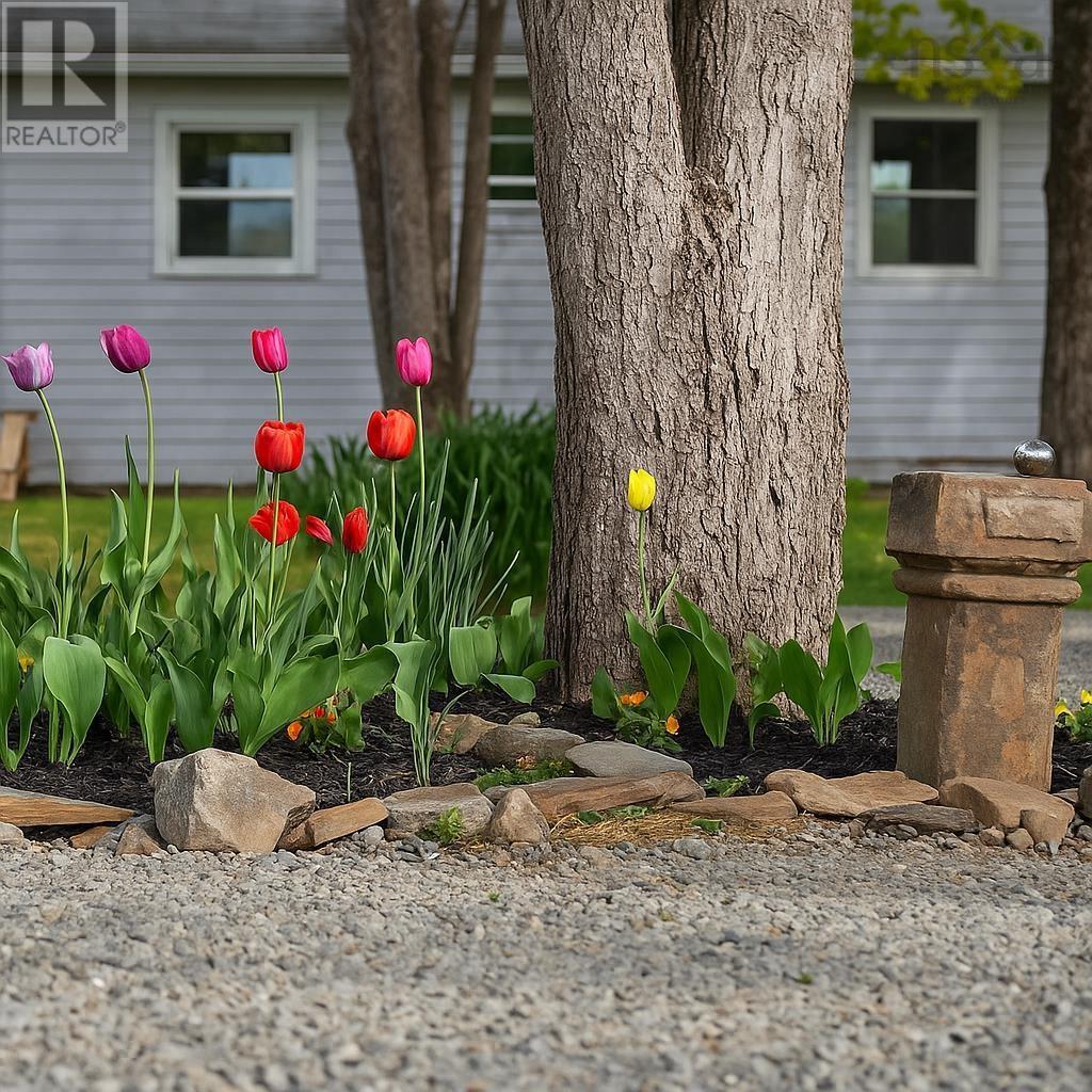 5232 Highway 340, Forest Glen, Nova Scotia  B5A 5P9 - Photo 9 - 202521030