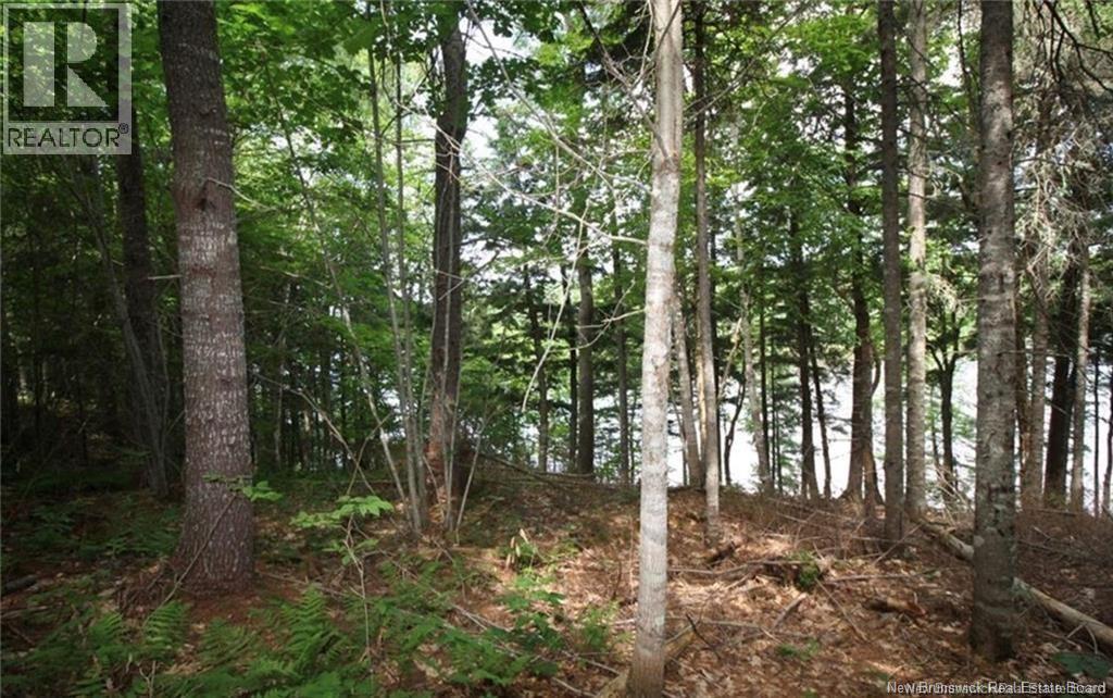 15-60 Bass River Point Road, Bass River, New Brunswick  E4T 1J3 - Photo 5 - NB131930