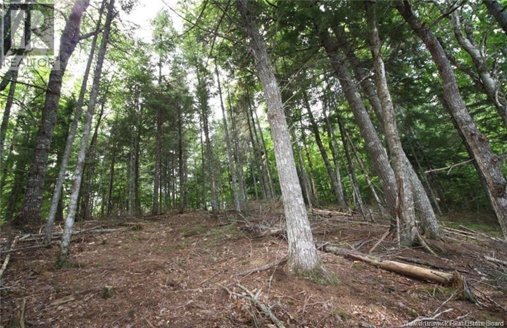 15-60 Bass River Point Road, Bass River, New Brunswick  E4T 1J3 - Photo 7 - NB131930