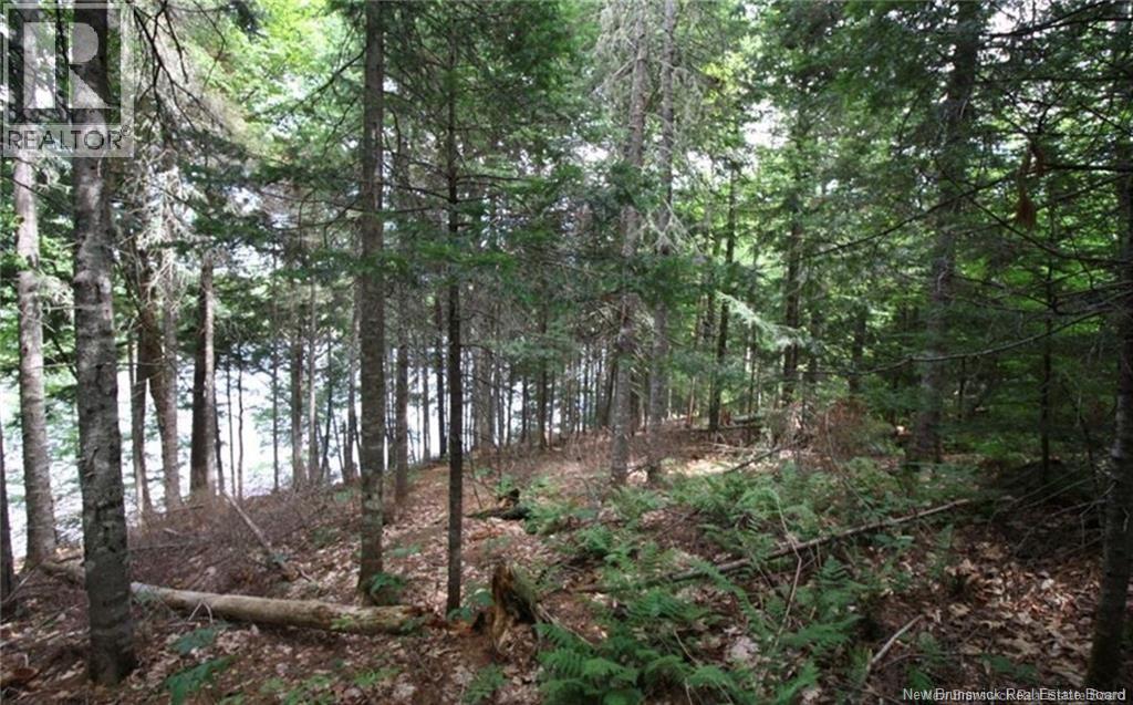 15-60 Bass River Point Road, Bass River, New Brunswick  E4T 1J3 - Photo 4 - NB131930