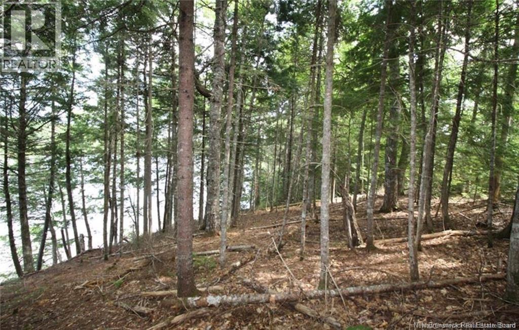 15-60 Bass River Point Road, Bass River, New Brunswick  E4T 1J3 - Photo 6 - NB131930