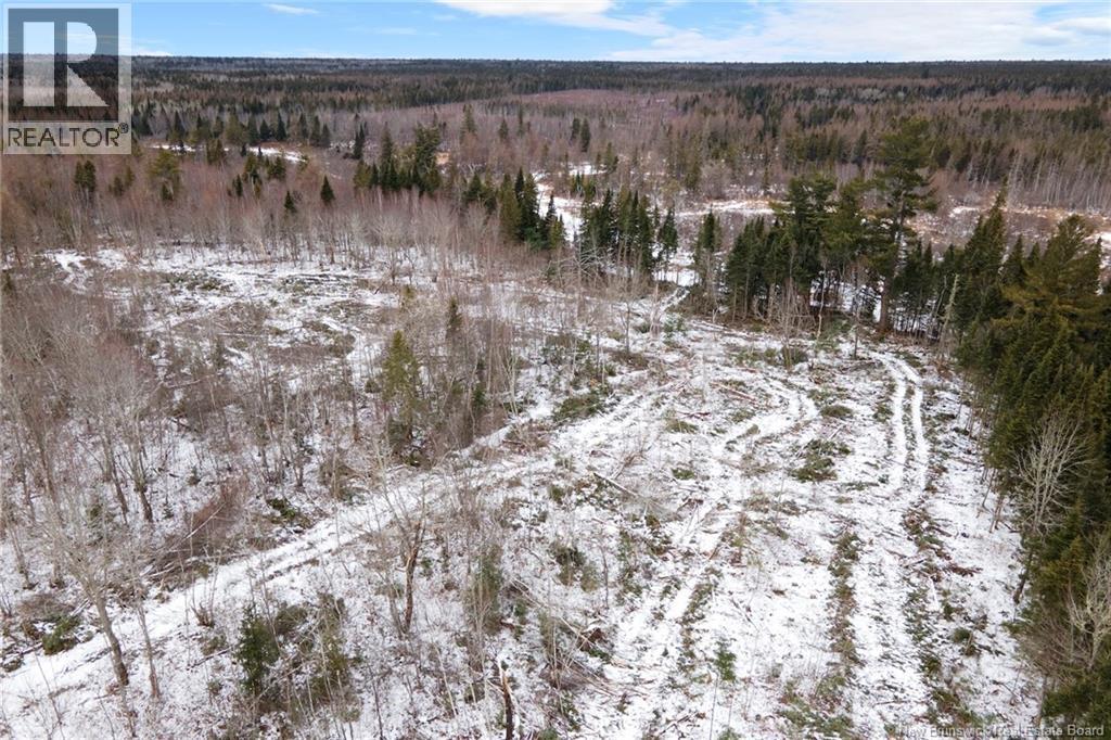 Lots 24-1 & 24-2 Cumberland Bay South Road, Cumberland Bay, New Brunswick  O0O 0O0 - Photo 9 - NB131892