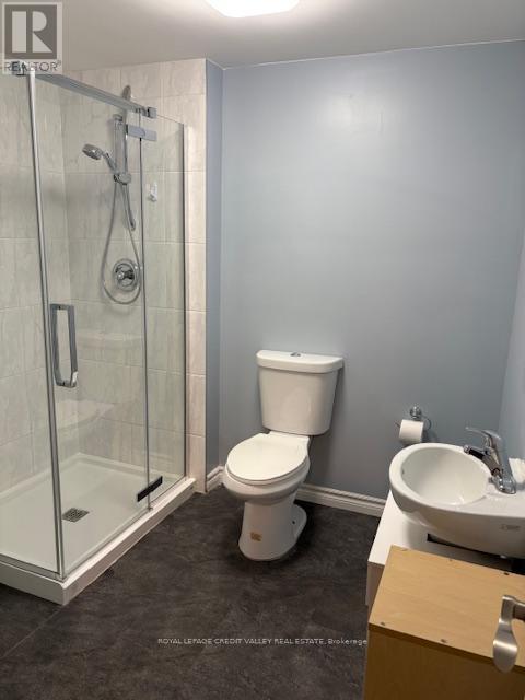 2502 Trident Avenue, Mississauga, Ontario  L5B 2L4 - Photo 12 - W12679530