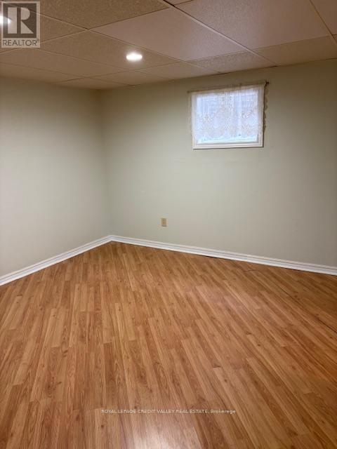 2502 Trident Avenue, Mississauga, Ontario  L5B 2L4 - Photo 16 - W12679530