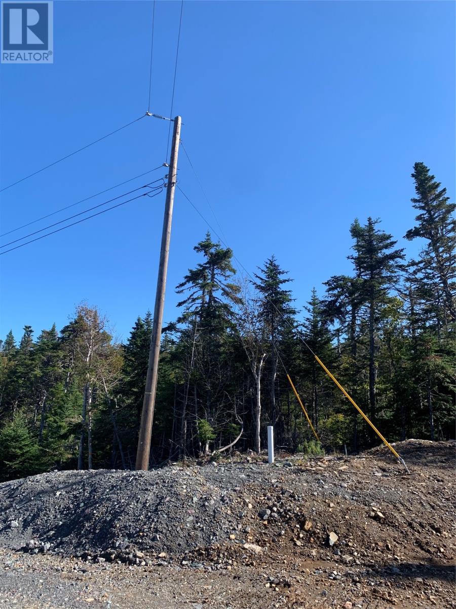 Lot 27 Halleran Trail, Brigus Junction, Newfoundland & Labrador  A0B 1G0 - Photo 14 - 1256499
