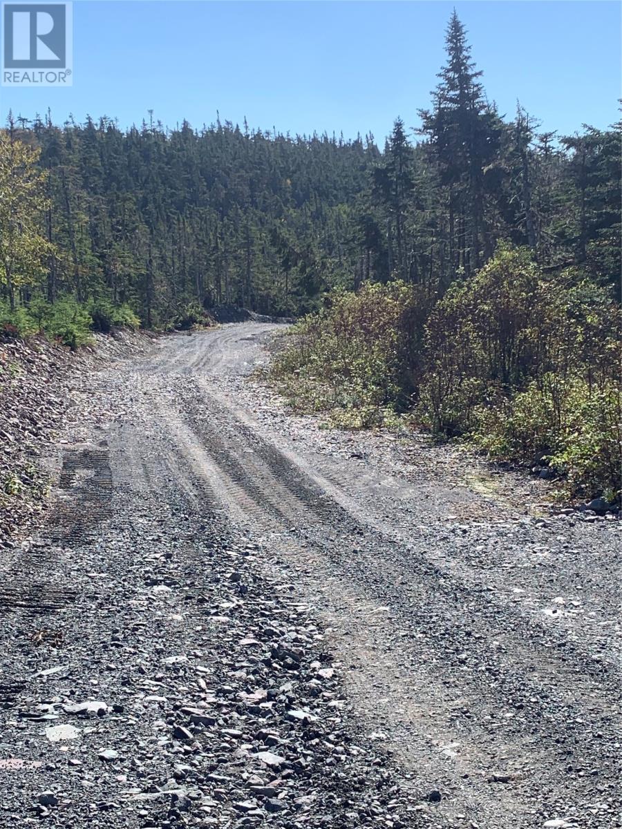 Lot 27 Halleran Trail, Brigus Junction, Newfoundland & Labrador  A0B 1G0 - Photo 4 - 1256499