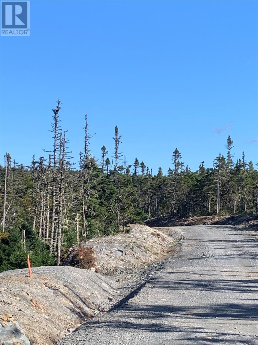 Lot 27 Halleran Trail, Brigus Junction, Newfoundland & Labrador  A0B 1G0 - Photo 3 - 1256499