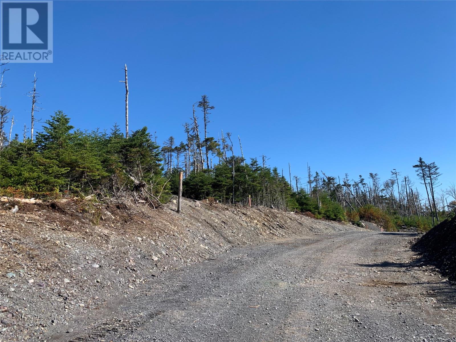 Lot 27 Halleran Trail, Brigus Junction, Newfoundland & Labrador  A0B 1G0 - Photo 12 - 1256499