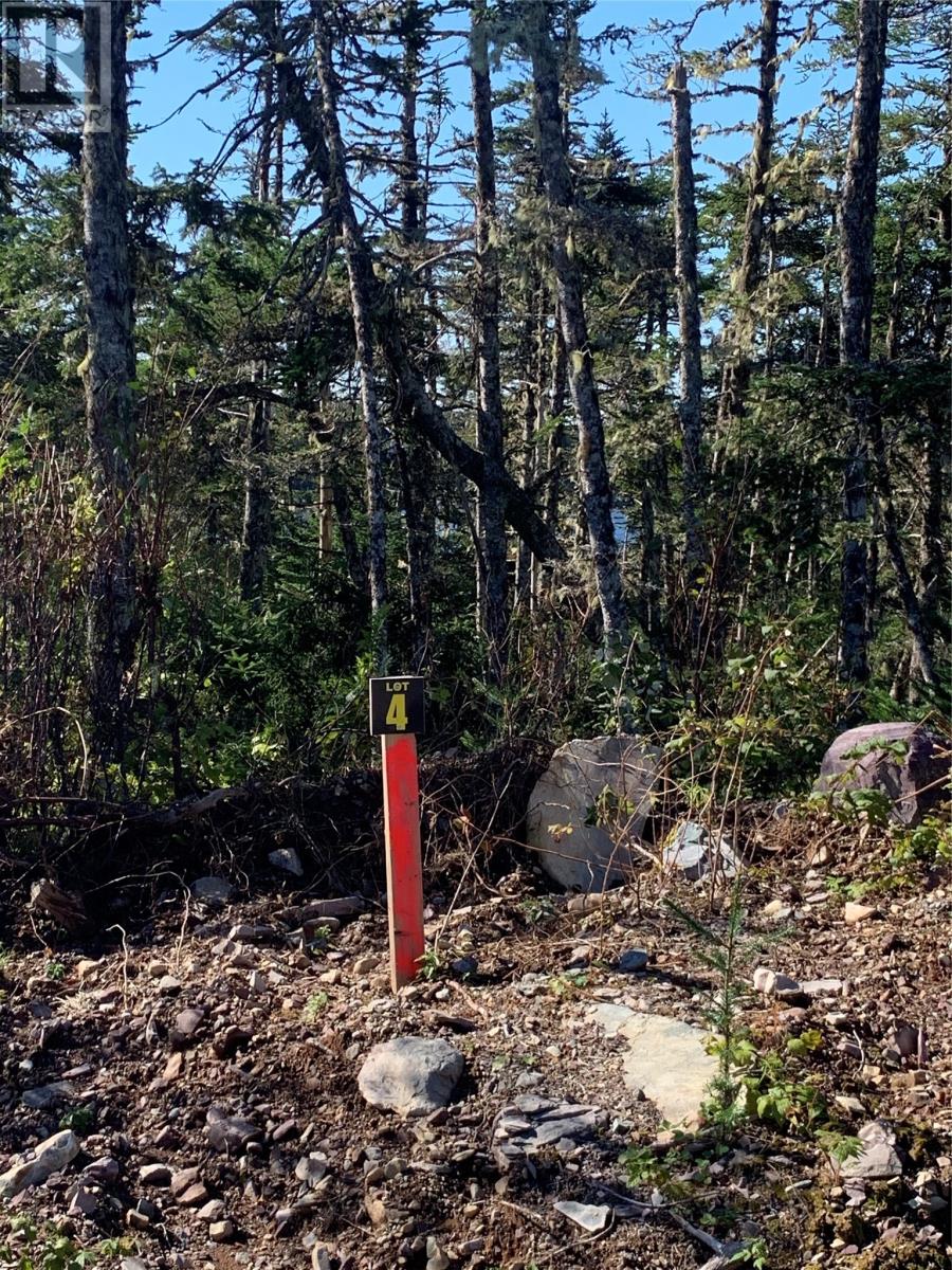 Lot 27 Halleran Trail, Brigus Junction, Newfoundland & Labrador  A0B 1G0 - Photo 5 - 1256499