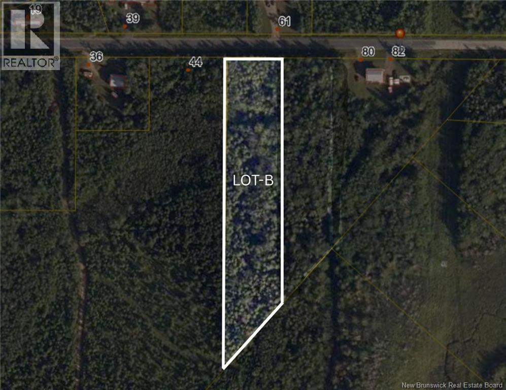 Lot B Saint Pierre, Rogersville, New Brunswick  E4Y 1L5 - Photo 1 - NB131584