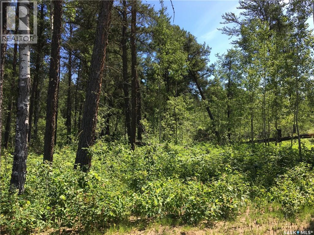 Prime Acreage Parcel 3.13 Acres, Nipawin Rm No. 487, Saskatchewan  S0E 1E0 - Photo 5 - SK026484