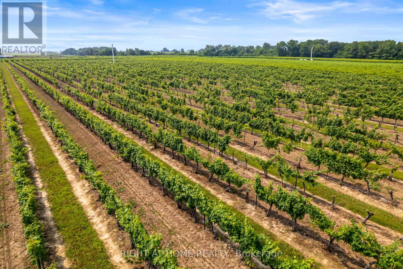 80 Loretta Drive, Niagara-On-The-Lake, Ontario  L0S 1T0 - Photo 49 - X12679796