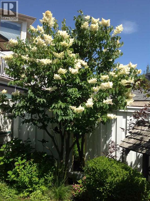 252 Citadel Park Nw, Calgary, Alberta  T3G 3X8 - Photo 44 - A2277232