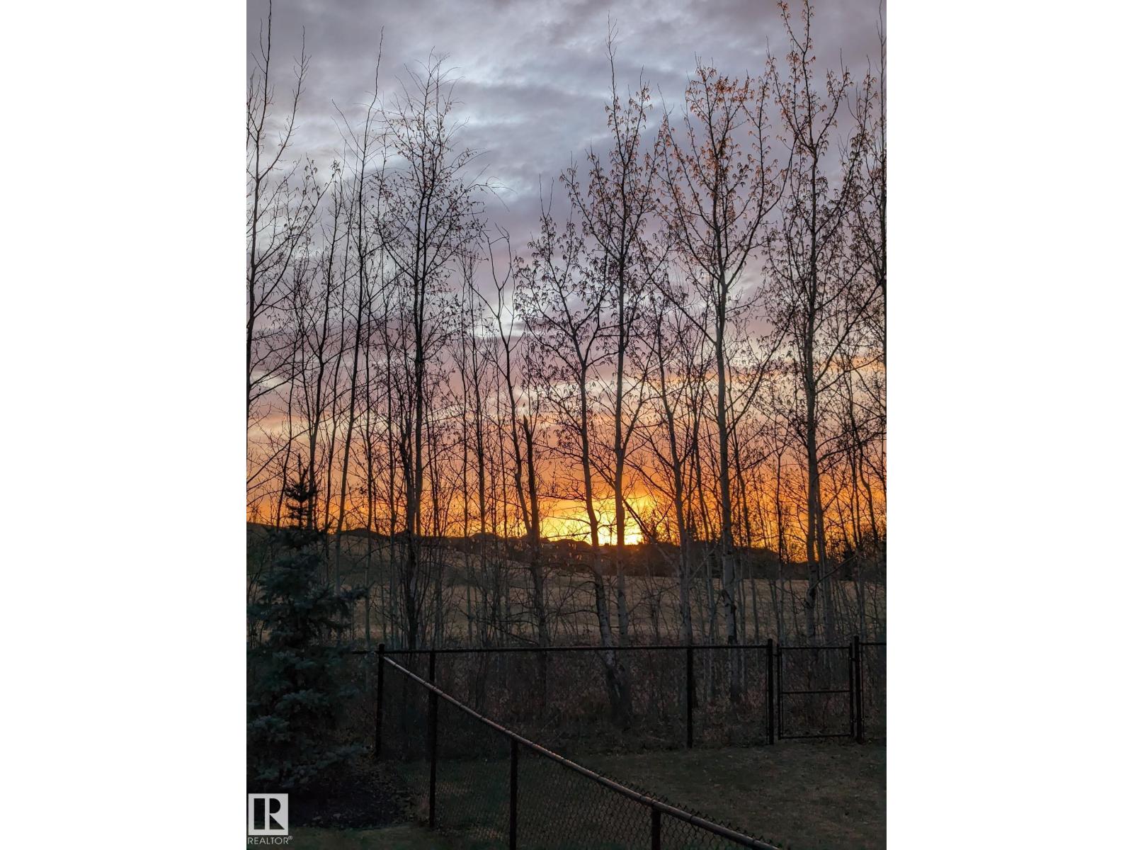 53 Greenbury Mr, Spruce Grove, Alberta  T7X 0M1 - Photo 64 - E4469399