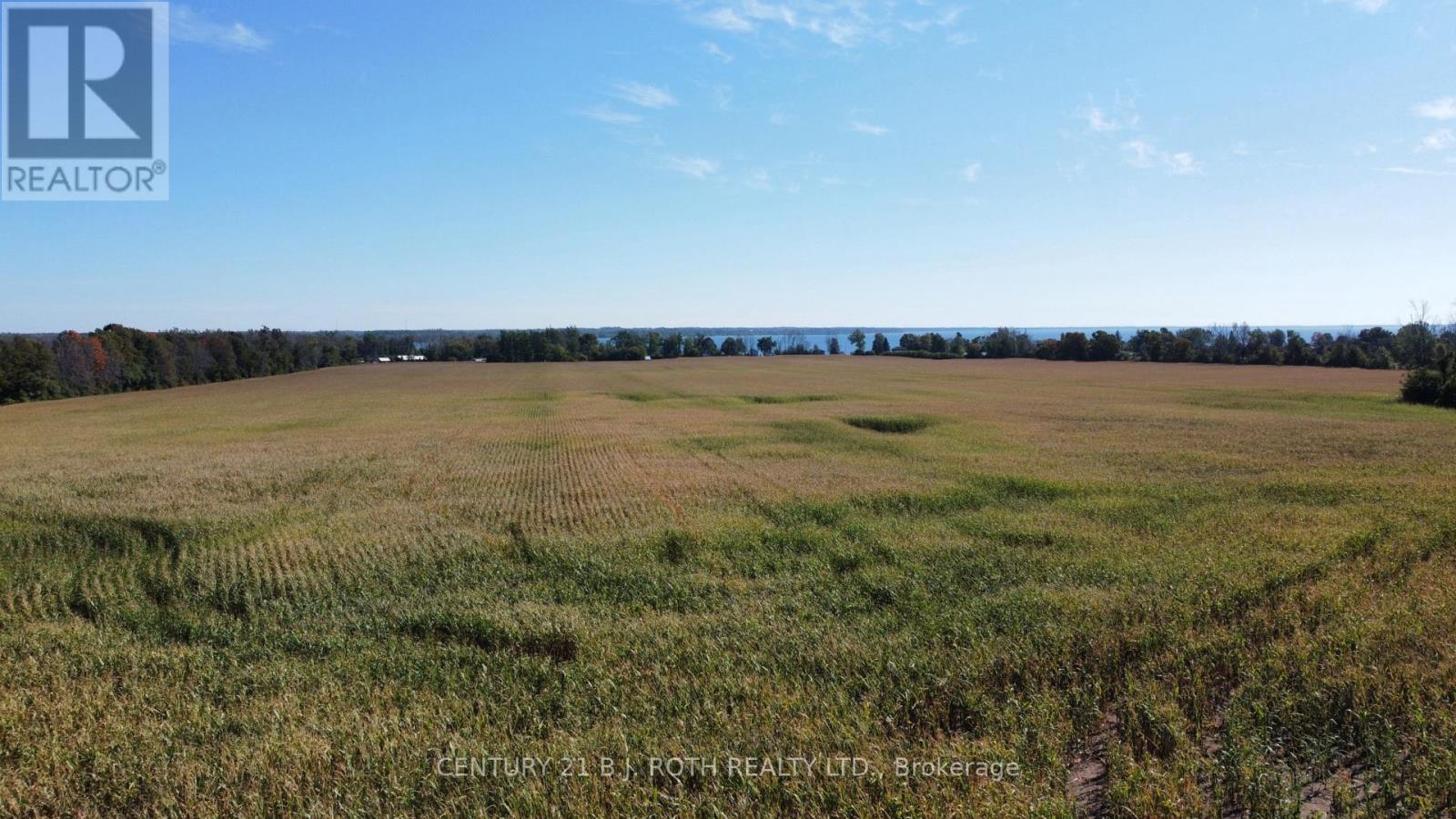 1273 Ramara Rd 47 Road, Ramara, Ontario  L0K 1B0 - Photo 9 - S12680128