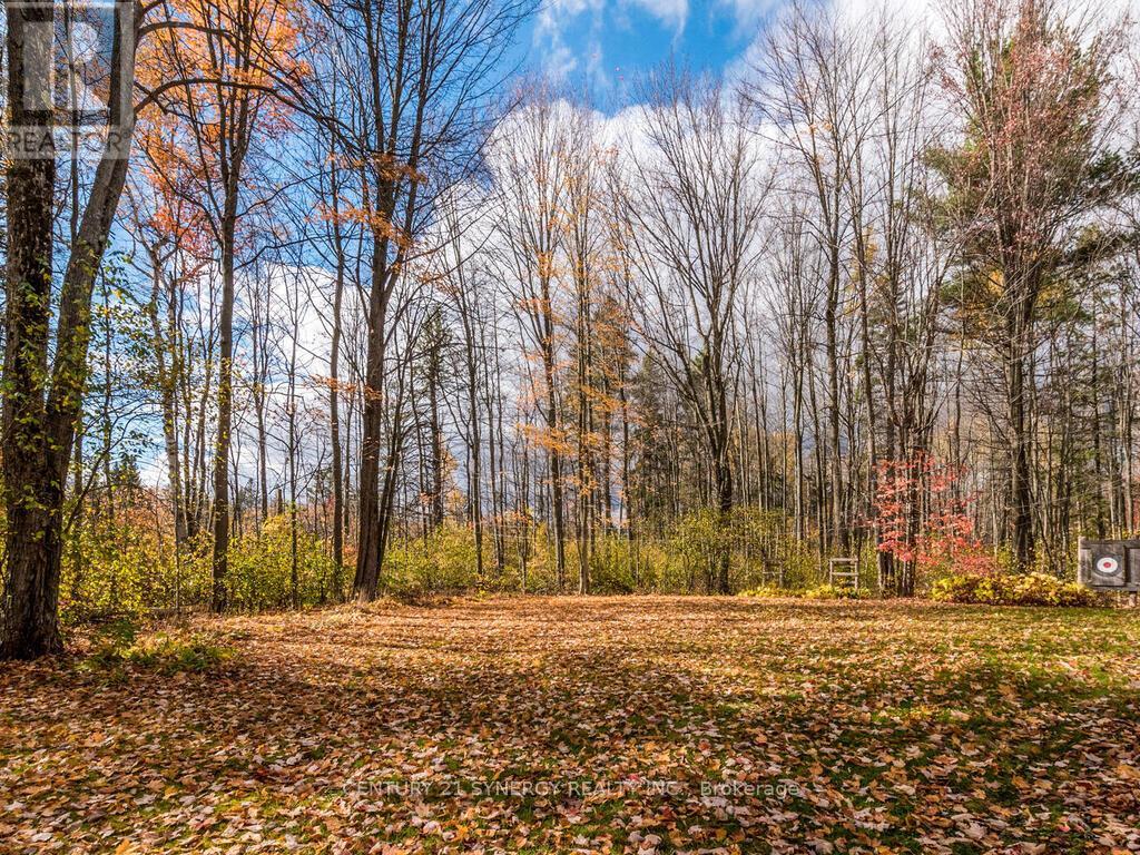 1423 Diamondview Road, Ottawa, Ontario  K0A 1L0 - Photo 33 - X12484920