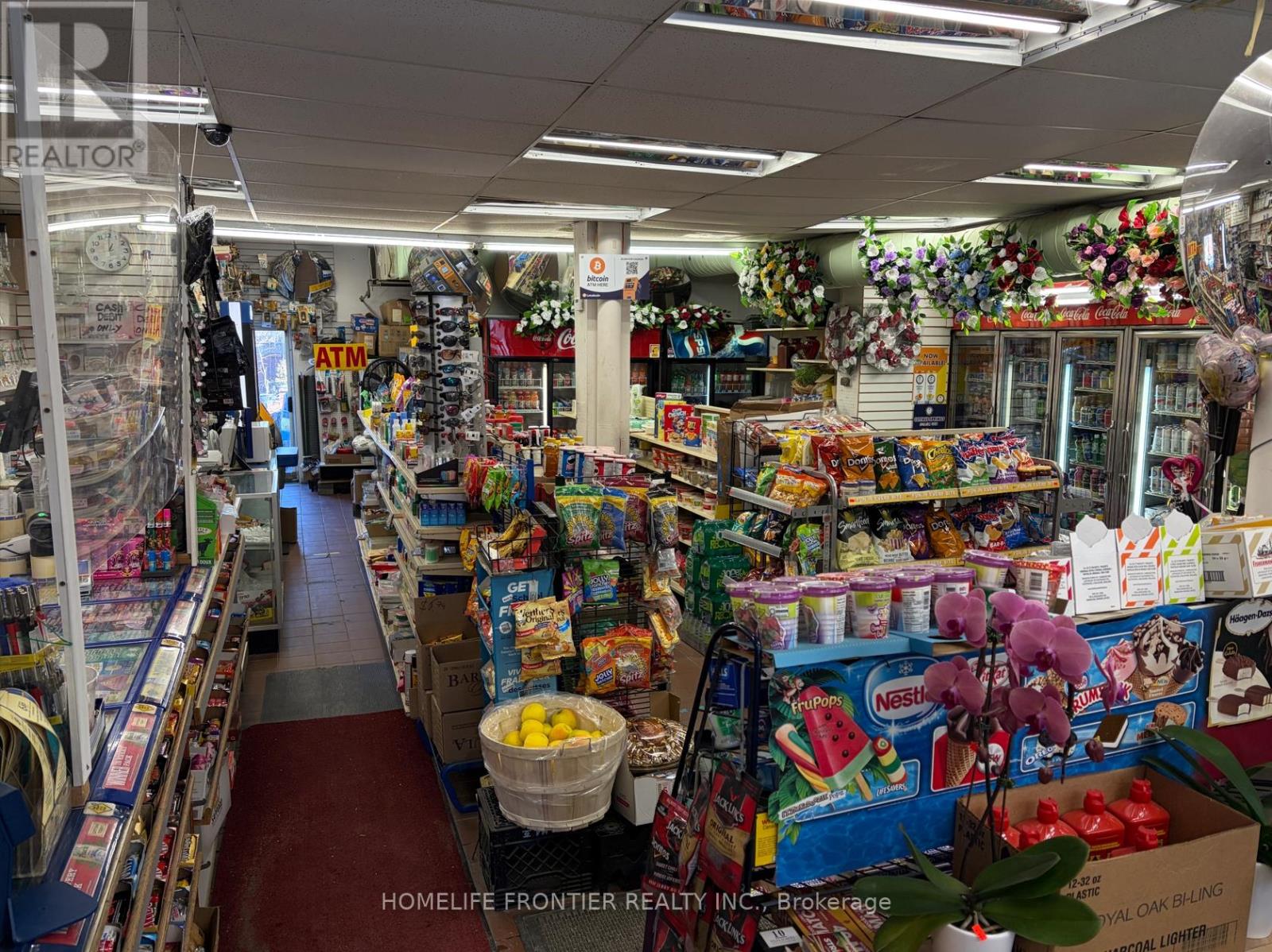 237 Park Lawn Road, Toronto, Ontario  M8Y 3J3 - Photo 2 - W12680200