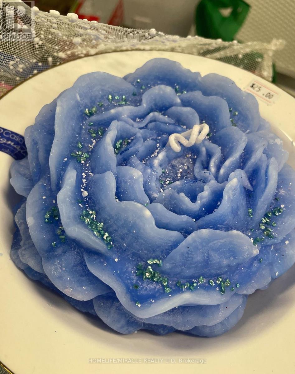 174 Main Street, Cambridge, Ontario  N1R 1W6 - Photo 12 - X12680360