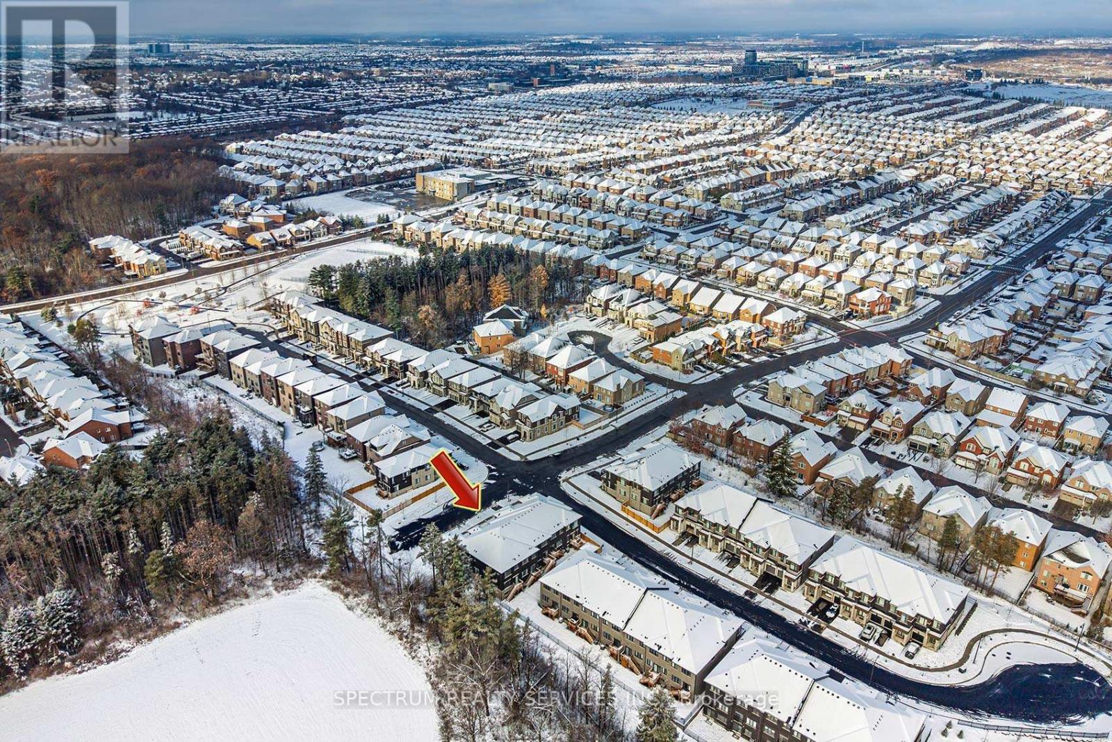 203 Grand Trunk Avenue, Vaughan, Ontario  L6A 5E5 - Photo 47 - N12596658