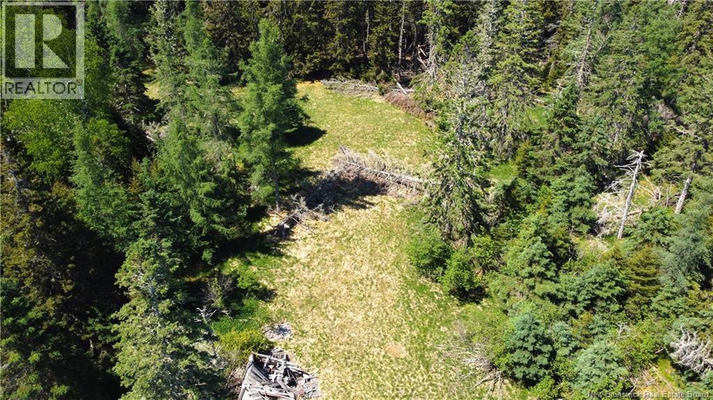 Navy Island, Saint Andrews, New Brunswick  E5B 2H1 - Photo 12 - NB131827