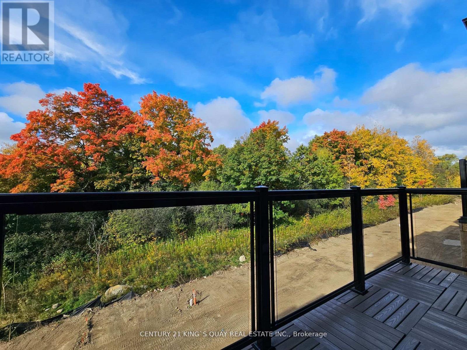 118 Credit Lane, Richmond Hill, Ontario  L4E 1G9 - Photo 18 - N12680686