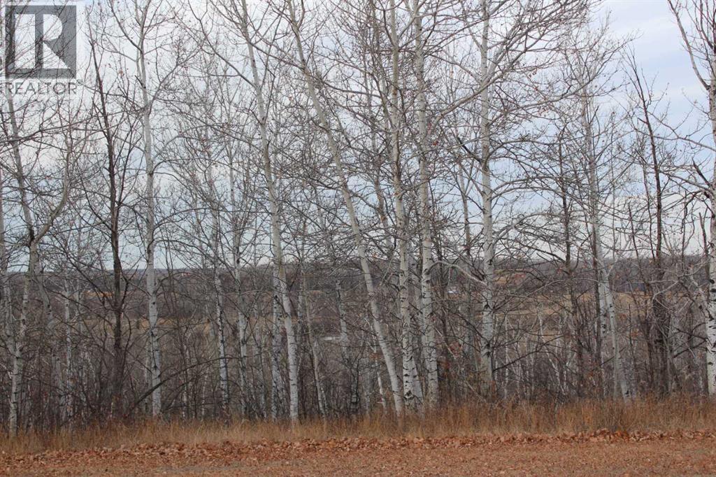 235011 913 Township, Rural Northern Lights, Alberta  T0H 2M0 - Photo 41 - A2269095