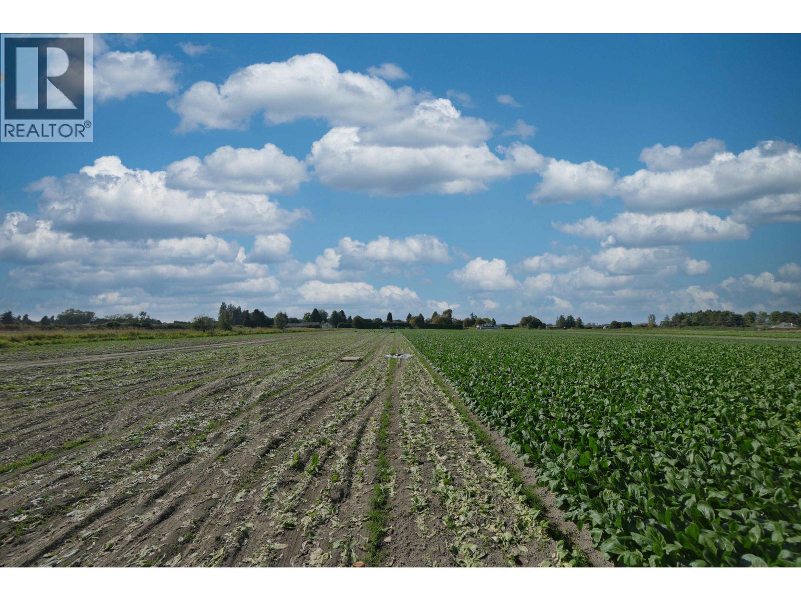 12900 Gilbert Road, Richmond, British Columbia  V7E 2H6 - Photo 32 - R3074742