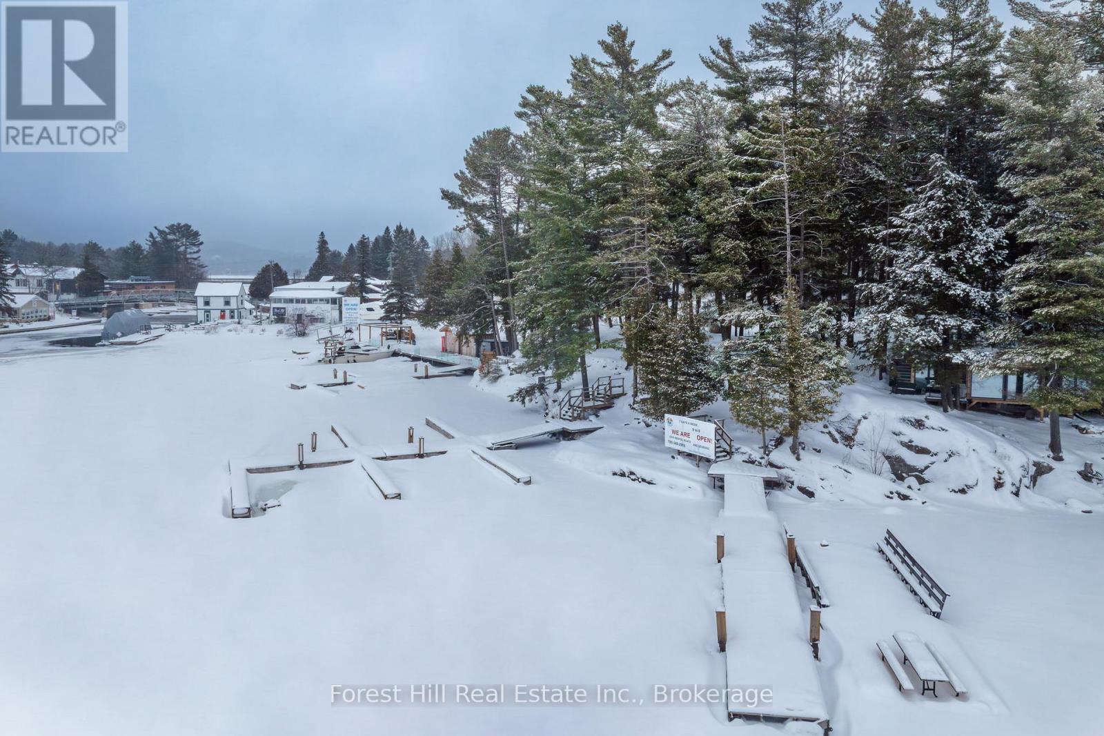 1092 Main Street, Lake Of Bays, Ontario  P0B 1A0 - Photo 34 - X12681198