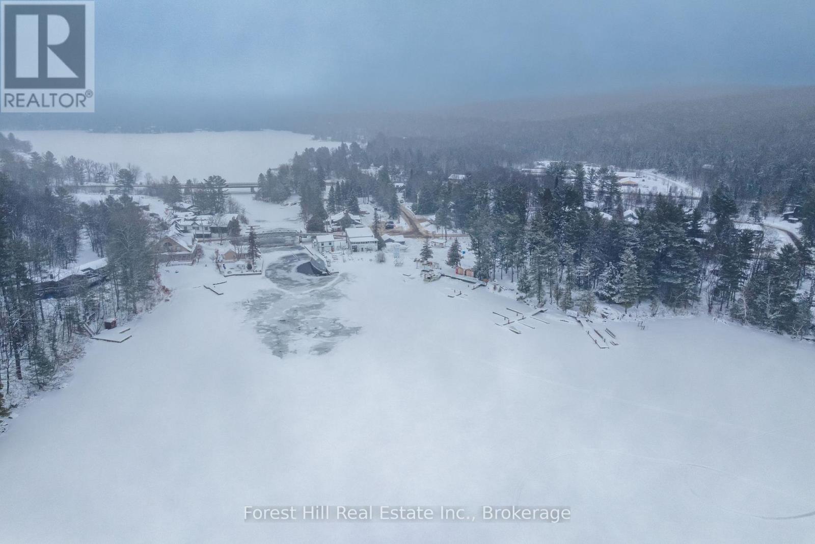 1092 Main Street, Lake Of Bays, Ontario  P0B 1A0 - Photo 43 - X12681198