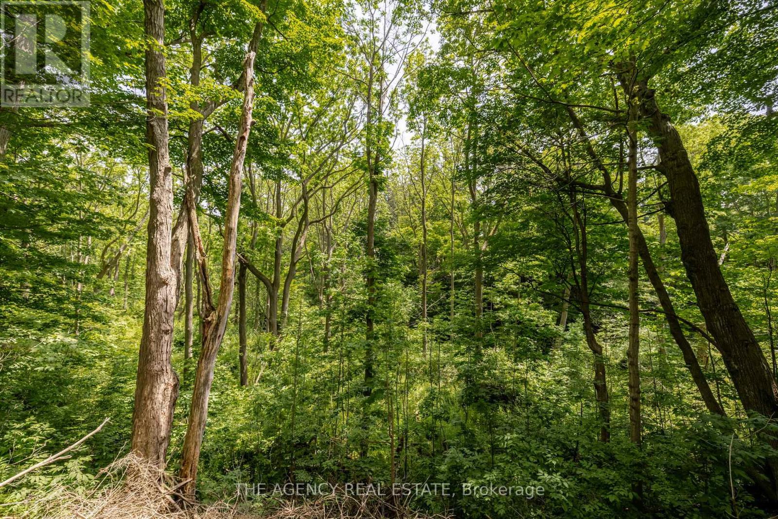 46299 North Street N, Central Elgin, Ontario  N5P 3S8 - Photo 35 - X12681152