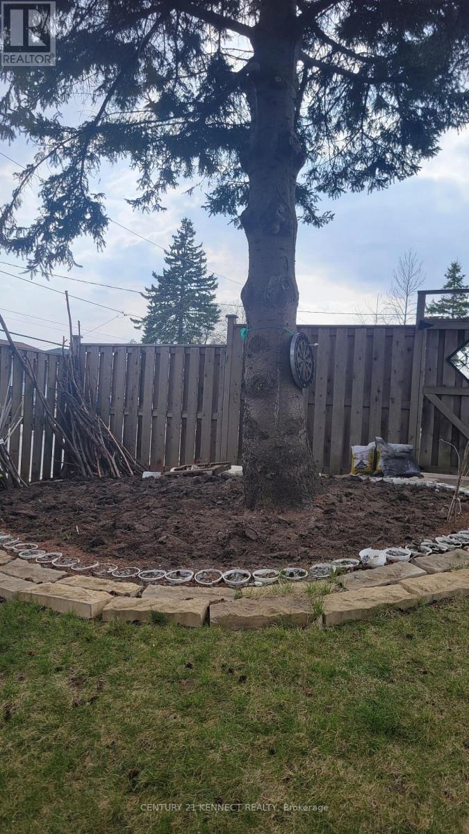 Lower - 1 Evanston Drive, Toronto, Ontario  M3H 5N9 - Photo 34 - C12681196