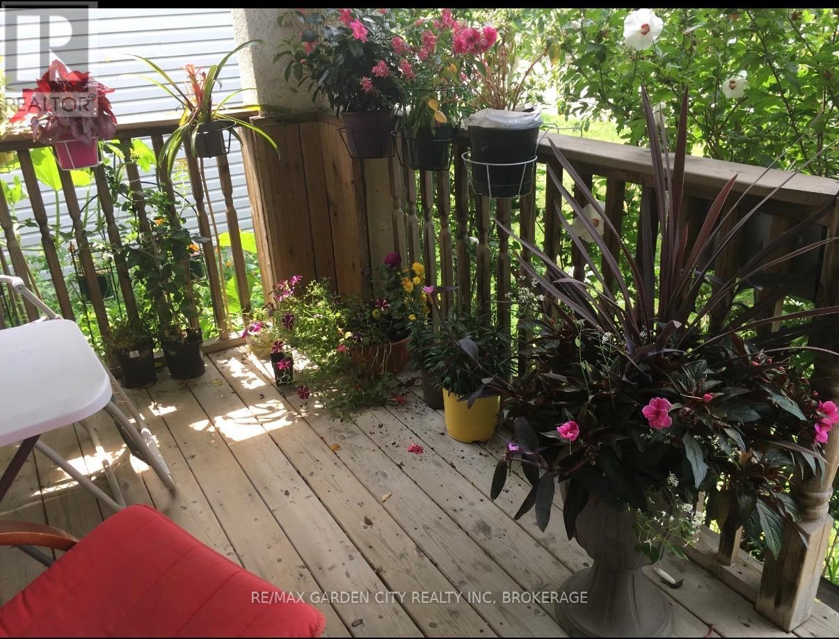 16 Ida Street, St. Catharines, Ontario  L2R 3X4 - Photo 20 - X12485392