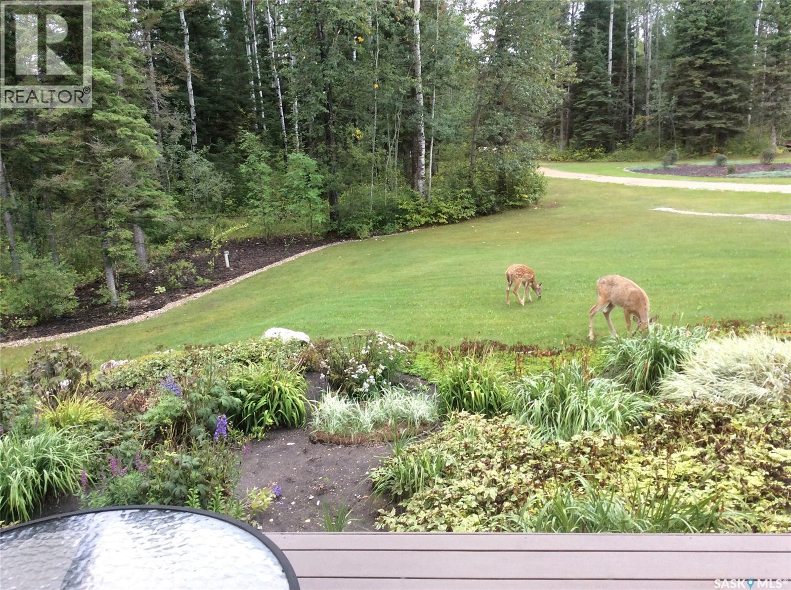 Haugen North 4.96, Hudson Bay Rm No. 394, Saskatchewan  S0E 0Y0 - Photo 4 - SK000466