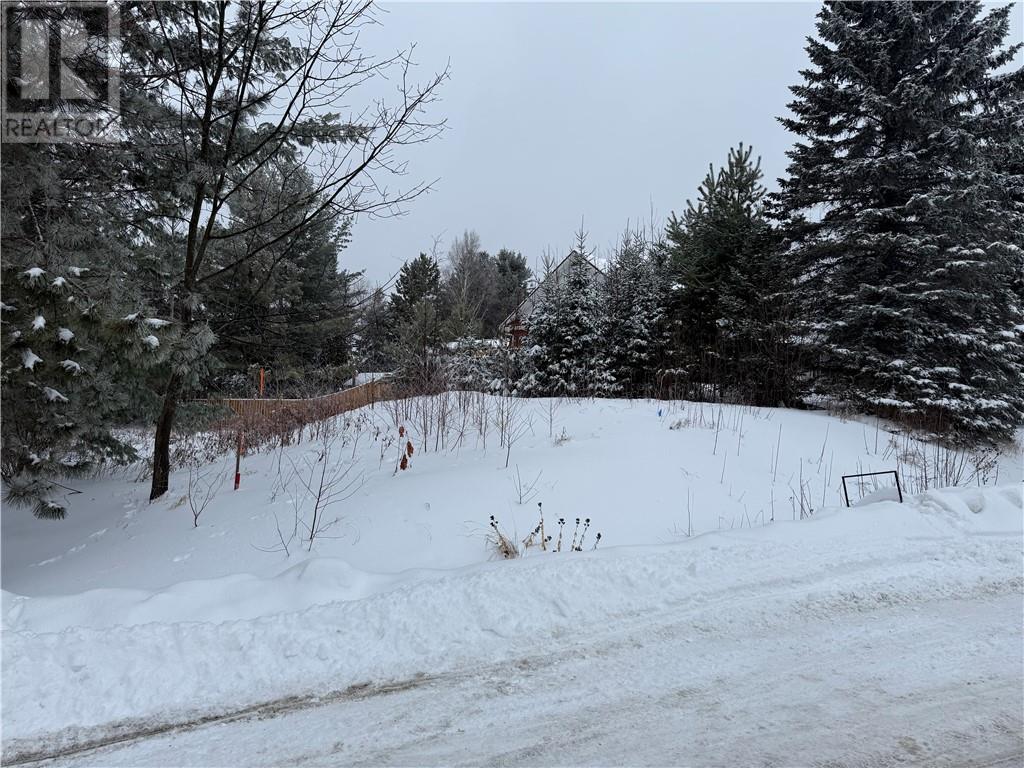 0 Simon Lake Drive, Naughton, Ontario  P0M 2M0 - Photo 6 - 2126014