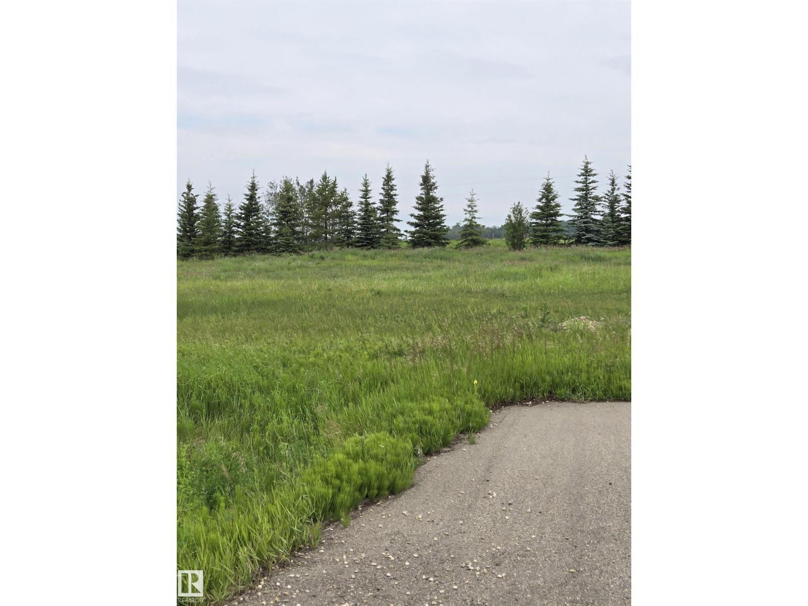 20 Falcon Drive, New Sarepta, Alberta  T0B 3M0 - Photo 4 - E4469559