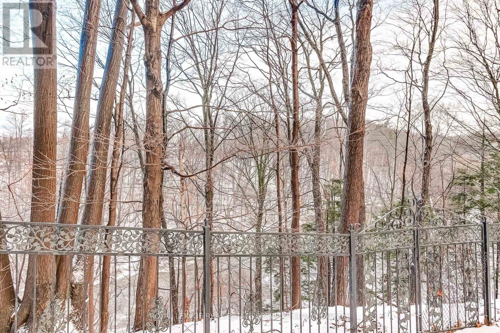 4261 Bridlepath Trail, Mississauga, Ontario  L5L 3K3 - Photo 41 - W12676808