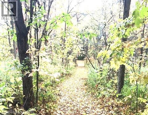 165 Ridge Road E, Grimsby, Ontario  L3M 4E7 - Photo 10 - 40797331